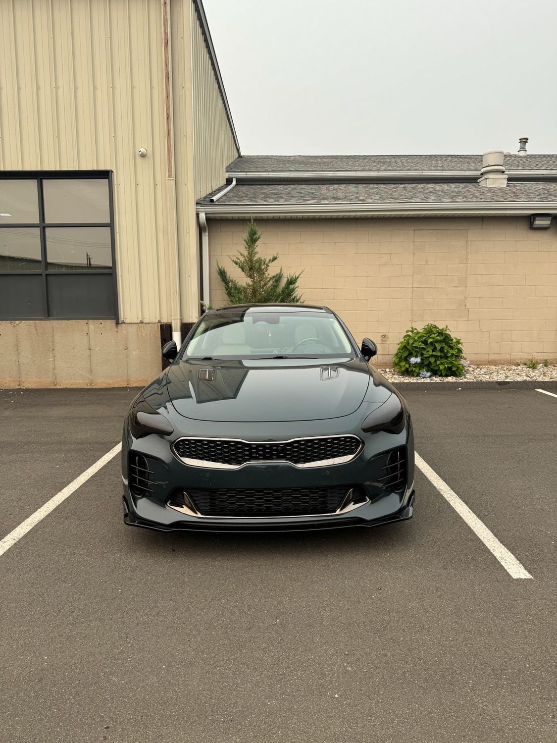 Kia Stinger with professionally tinted headlights and taillights at Exclusive Auto Lab